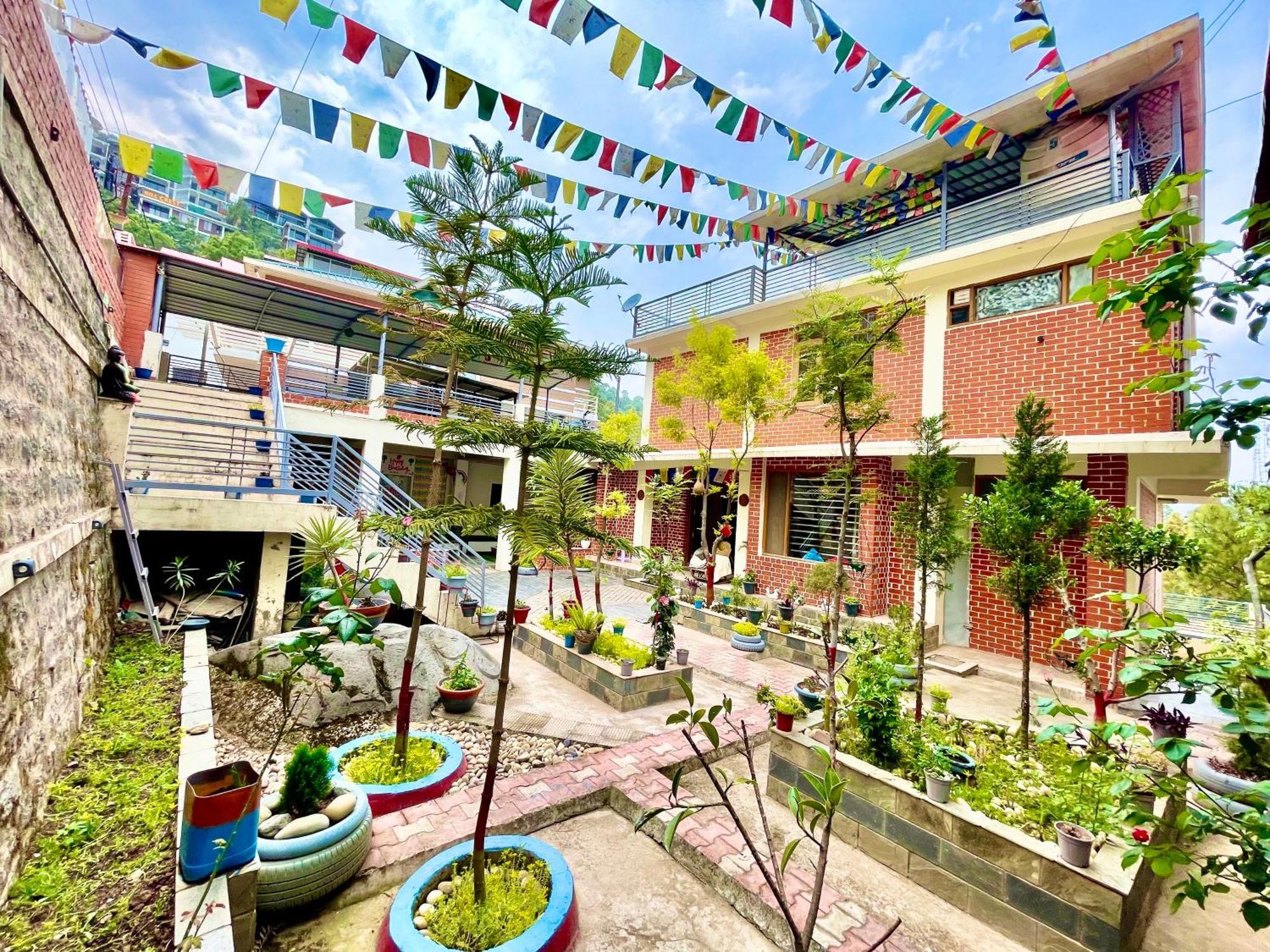 The Auriga 3Bhk Fully Entair Villa With Bonfire In Kasauli I Pvt Stay I Open Air Terrace I Kitchen Livingroom I Lawn Bonfire I Gaming Zone Kültér fotó
